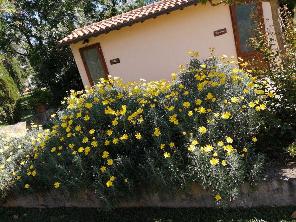 Il Podere Di Sole Roccastrada Exterior foto
