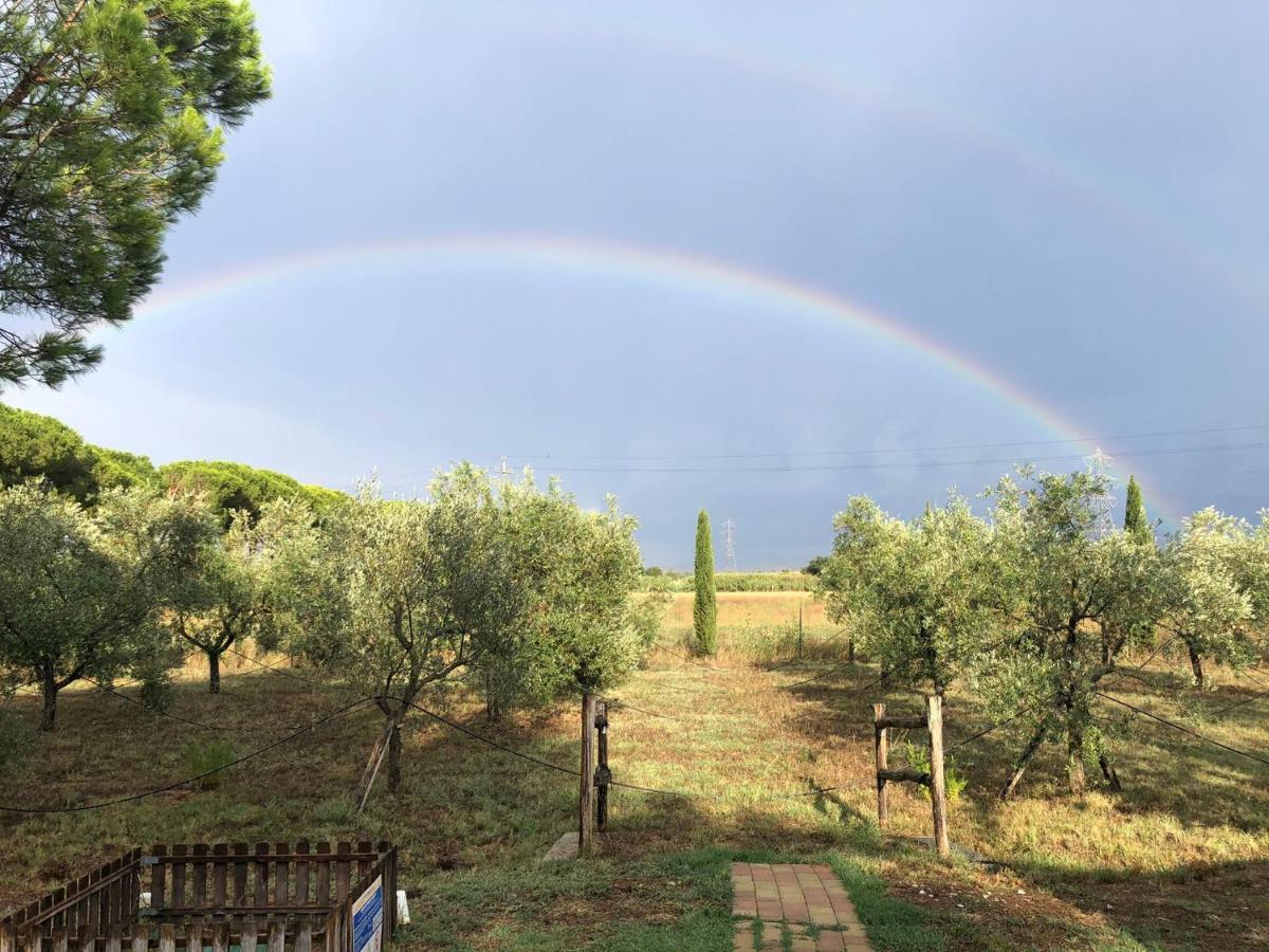 Il Podere Di Sole Roccastrada Exterior foto